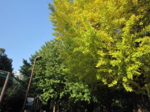 %e5%8b%95%e7%89%a9%e5%9c%92%e2%91%a2