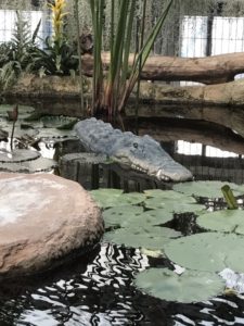 あかね丸_170722_0025