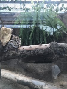 あかね丸_170722_0030