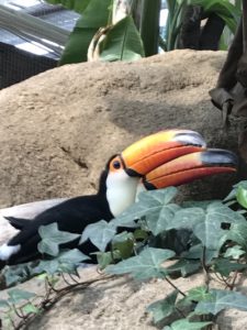 あかね丸_170722_0033