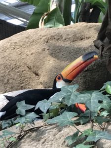 あかね丸_170722_0034