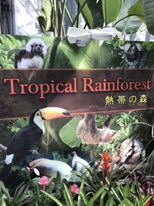 あかね丸_170722_0043