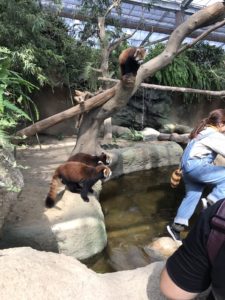 あかね丸_170722_0049