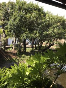 あかね丸_170722_0072