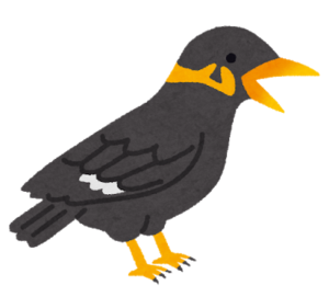 鳥が鳴く理由を解説 小さな鳥が大きな声で鳴けるのはなぜ Asapアニマルニュース